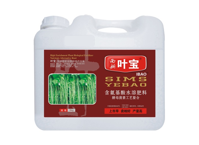 豆角专用.jpg